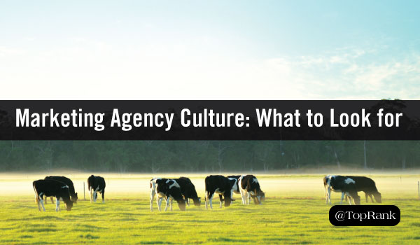 6 Culture Qualities to Look for When Interviewing at a Marketing Agency I Learned From My Dairy Farm