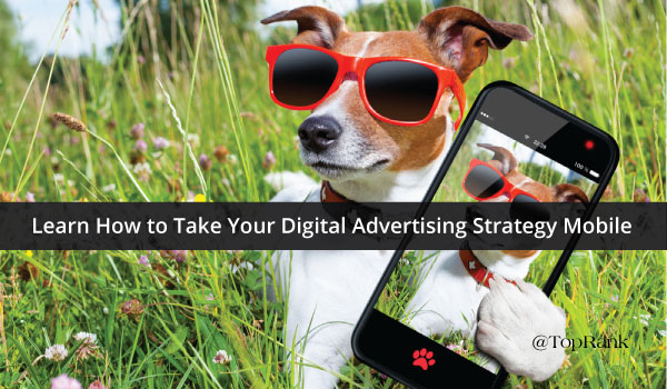 Visual Content Marketing Dog with Sunglasses and Cell Phone
