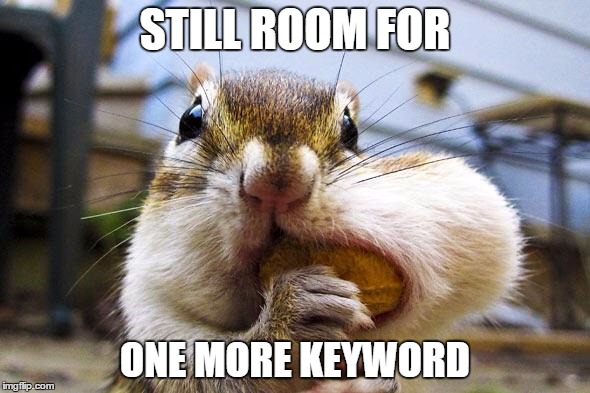 A Squirrel Stuffs a Nut into Its Cheek to Symbolize Keyword Stuffing in Content Marketing
