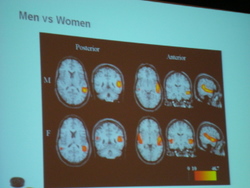 Men vs Womenâ€™s Brain in Decision Making - SMX West