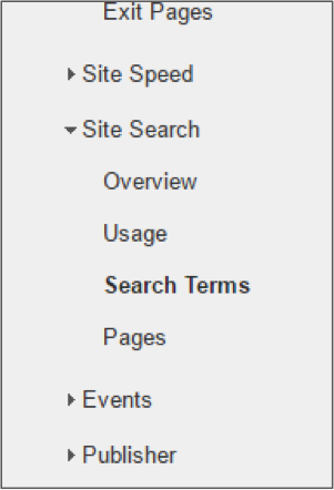 Site Search Terms in Google Analytics