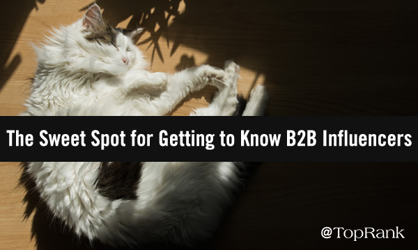 Finding the B2B influencer marketing sweet spot cat in sun image.