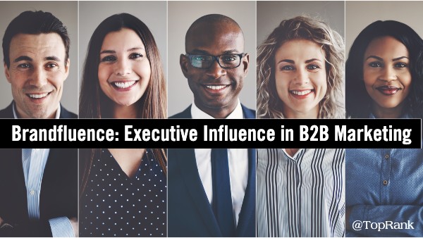 Brandfluence B2B Executive Influence