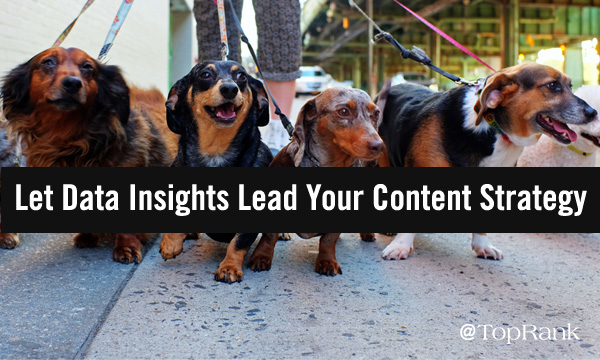 Let Data Insights Lead Your Content Marketing Strategy