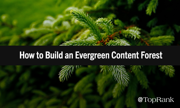 Evergreen Content Marketing