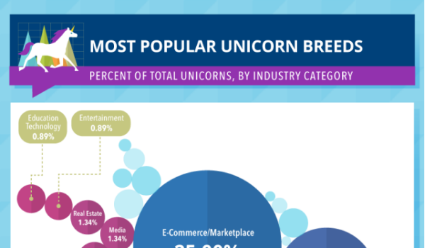 snapchat unicorn infographic